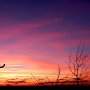 sunset feb-09